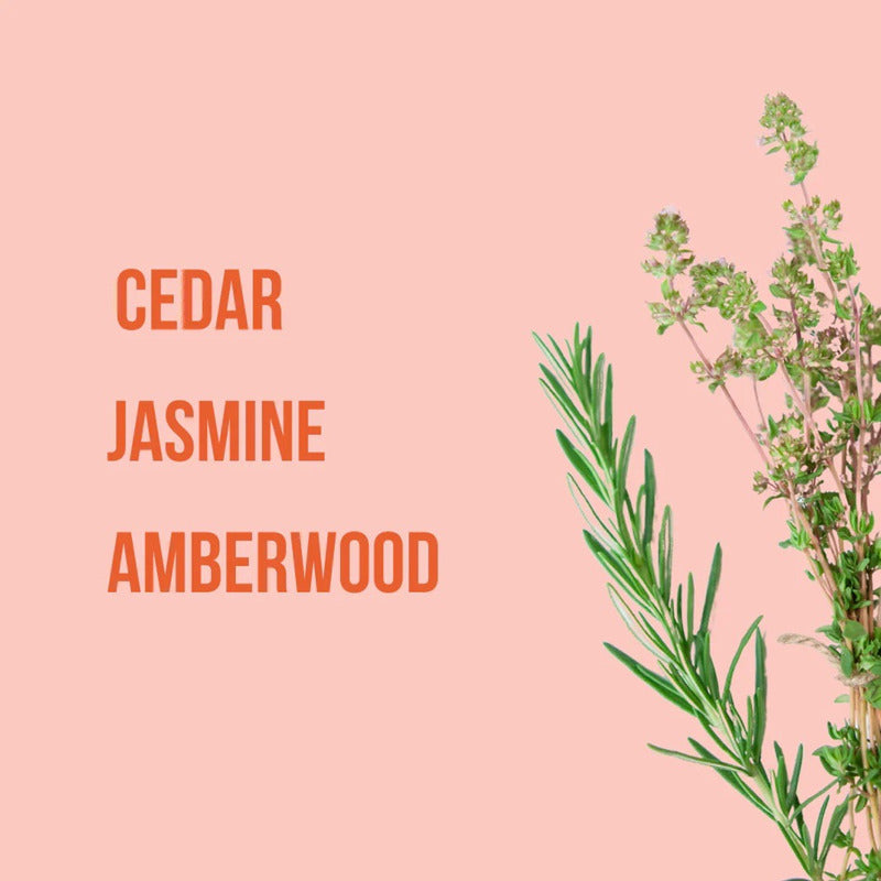 Body Mist Spray Corporal Beauty Creations 1 Pz 12 Fragancias