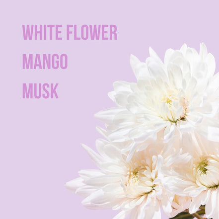 Body Mist Spray Corporal Beauty Creations 1 Pz 12 Fragancias