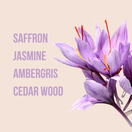 Body Mist Spray Corporal Beauty Creations 1 Pz 12 Fragancias