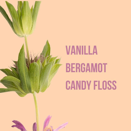 Body Mist Spray Corporal Beauty Creations 1 Pz 12 Fragancias