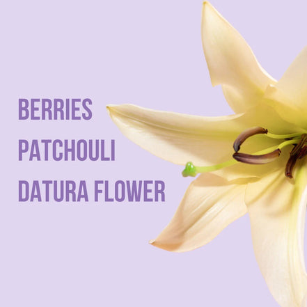 Body Mist Spray Corporal Beauty Creations 1 Pz 12 Fragancias