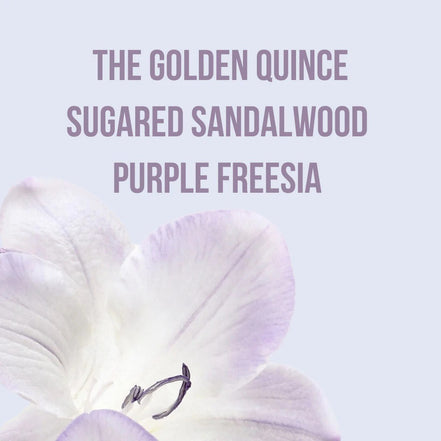 Body Mist Spray Corporal Beauty Creations 1 Pz 12 Fragancias