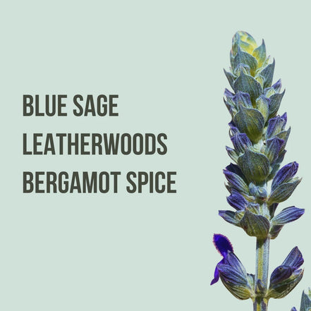 Body Mist Spray Corporal Beauty Creations 1 Pz 12 Fragancias