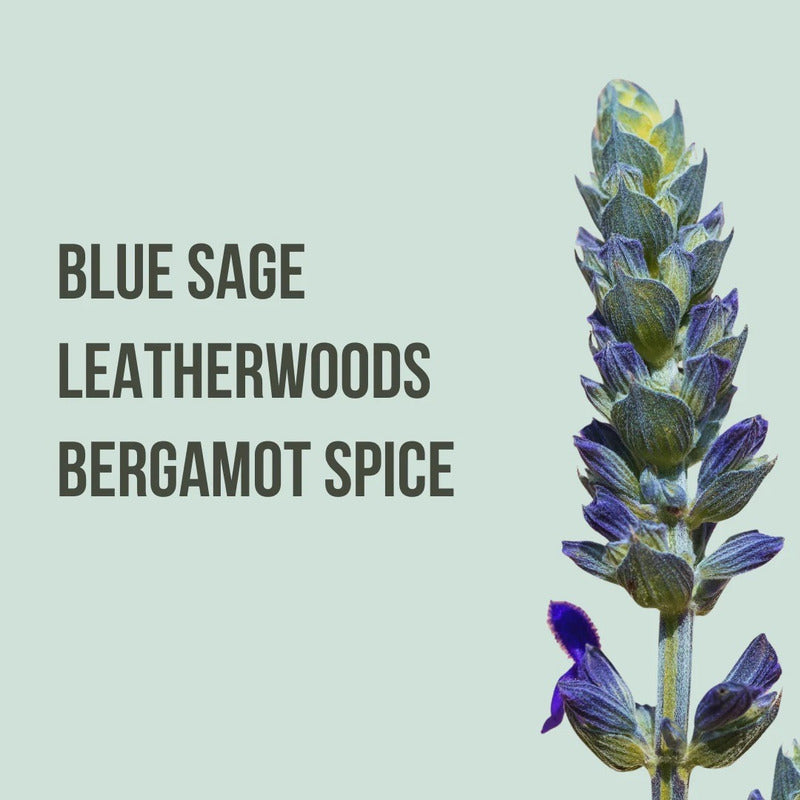 Body Mist Spray Corporal Beauty Creations 1 Pz 12 Fragancias