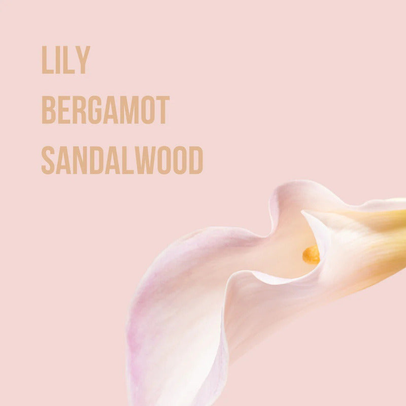 Body Mist Spray Corporal Beauty Creations 1 Pz 12 Fragancias